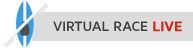 see virtual race